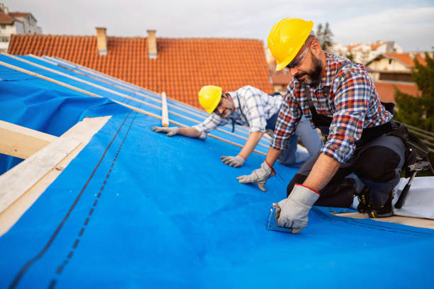 Best Metal Roofing Contractor  in Wilmington, OH