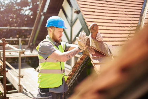 Roof Gutter Cleaning in Wilmington, OH